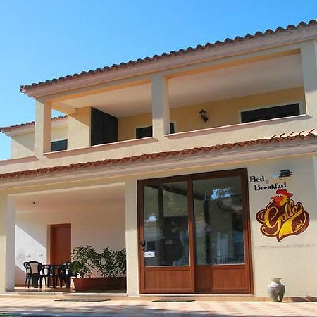 Gallo Spot Hotel San Teodoro  Exterior photo